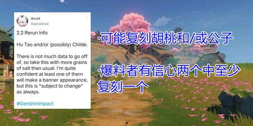 胡桃最新爆料汇总,揭秘娱乐圈幕后真相与热点事件