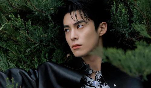 最新爆料王鹤棣图片高清,魅力四溢引粉丝尖叫