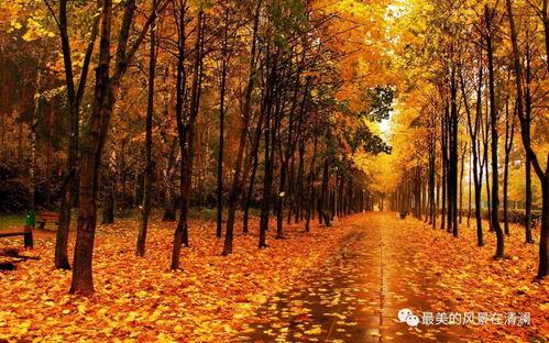 秋天妈妈最新的爆料文案,最新爆料文案大曝光！