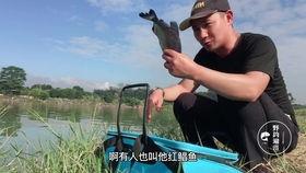 东莞野钓最新爆料,揭秘最新钓点与技巧分享