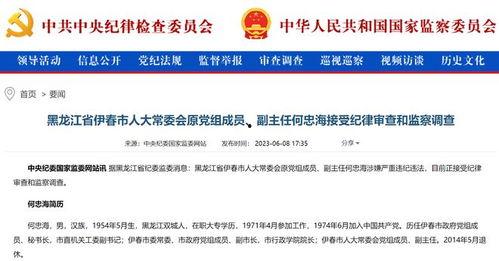 黑龙江爆料人员是谁啊最新消息,揭秘背后真相与进展