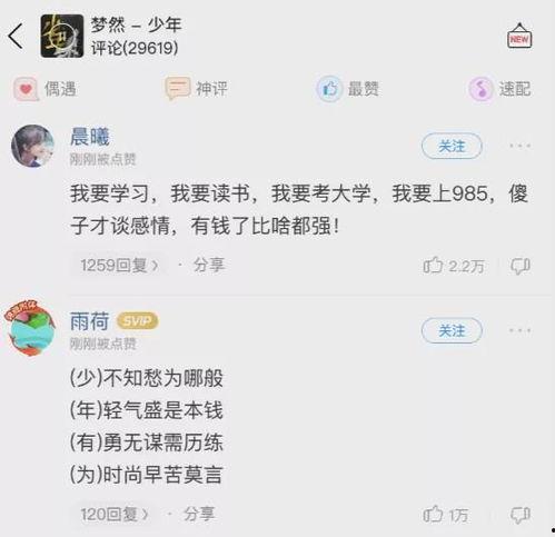 最新的爆料歌曲是什么,旋律动人，歌词走心，引发全网热议